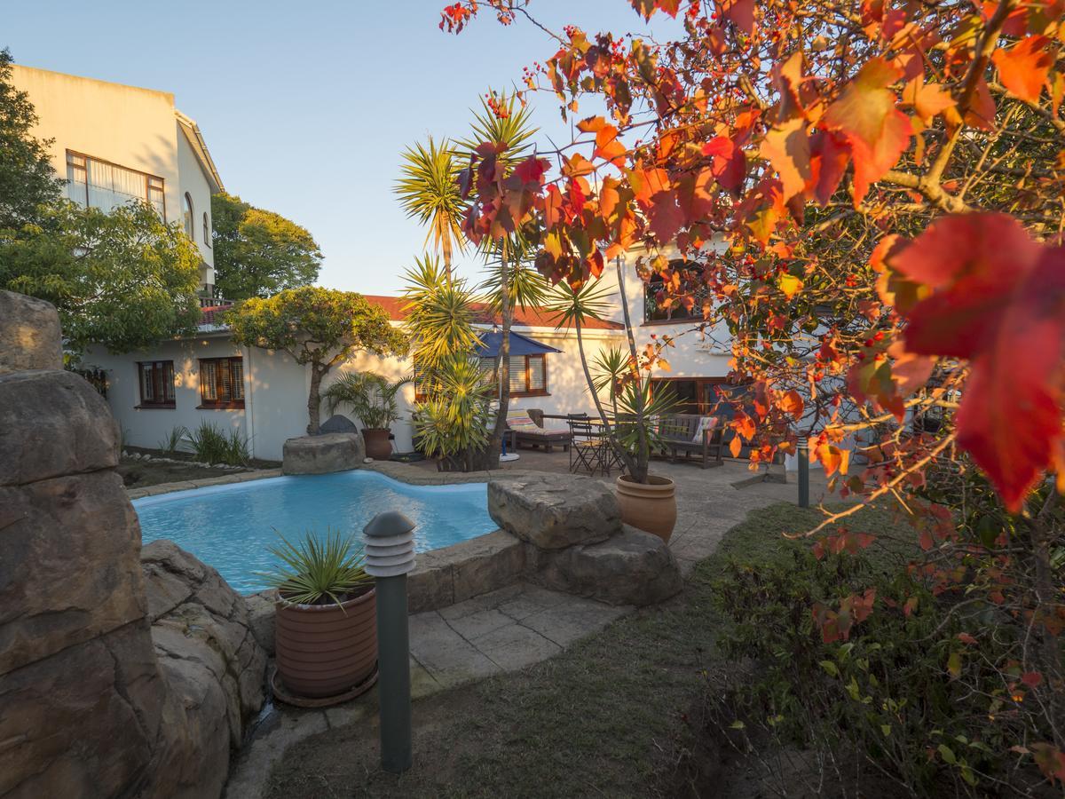 Blue Oyster Bed And Breakfast Knysna Buitenkant foto
