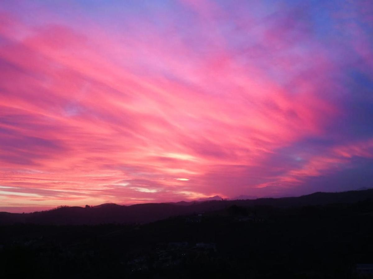 Blue Oyster Bed And Breakfast Knysna Buitenkant foto