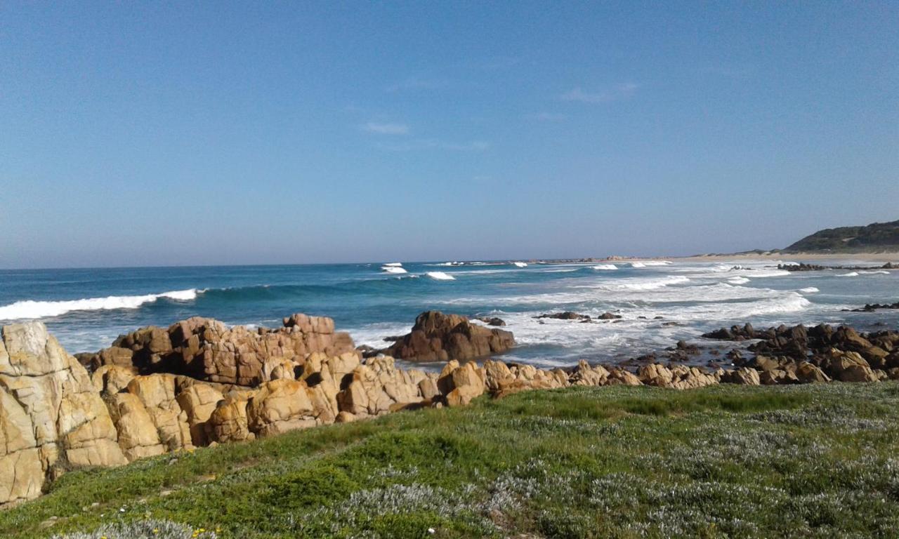 Blue Oyster Bed And Breakfast Knysna Buitenkant foto