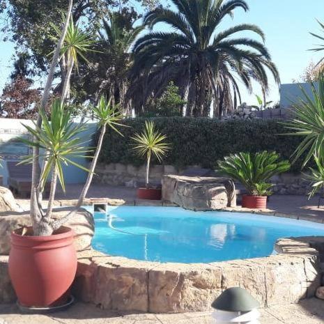 Blue Oyster Bed And Breakfast Knysna Buitenkant foto